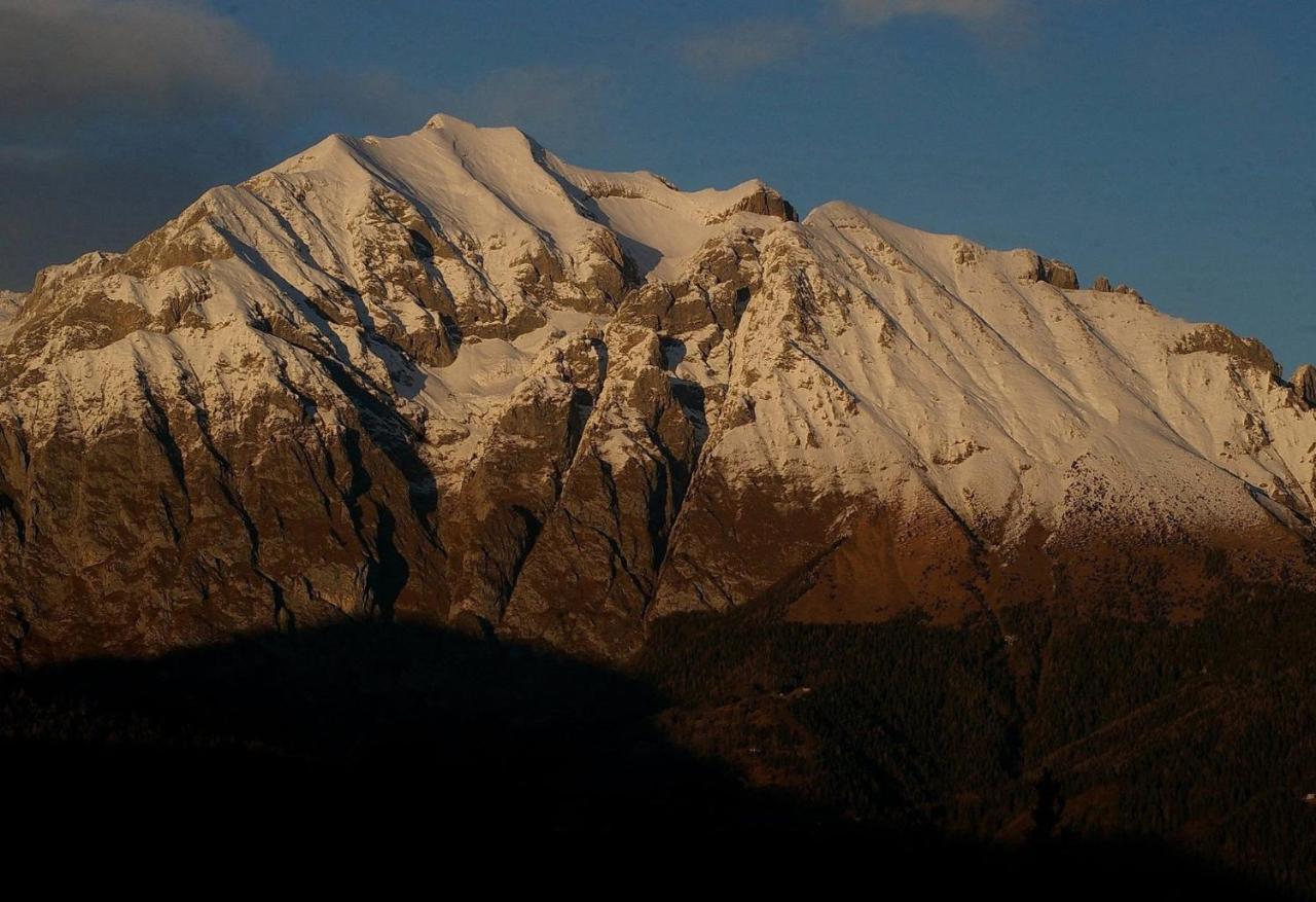 Catif Ladru Bed & Breakfast Cerveno ภายนอก รูปภาพ